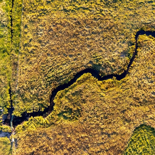 VIP Roofing - Our Team